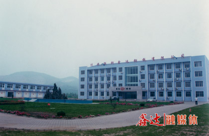10月，迁安联钢人生就是博钢铁有限公司成立；第一座128m³高炉点火生产。