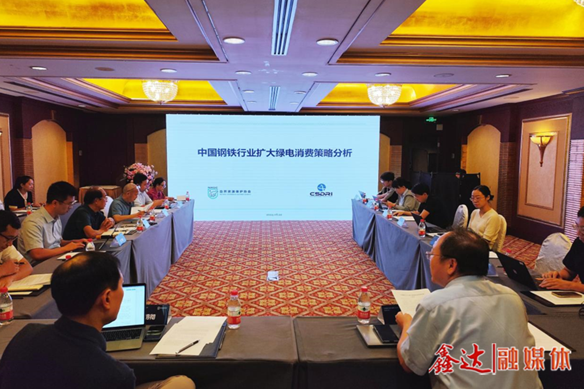 如何更好利用绿电这一减碳利器？——“中国钢铁行业扩大绿电消费策略分析”研讨会侧记